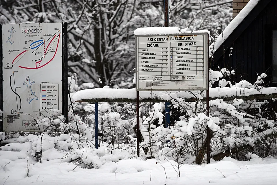 snijeg zima bjelolasica (10)