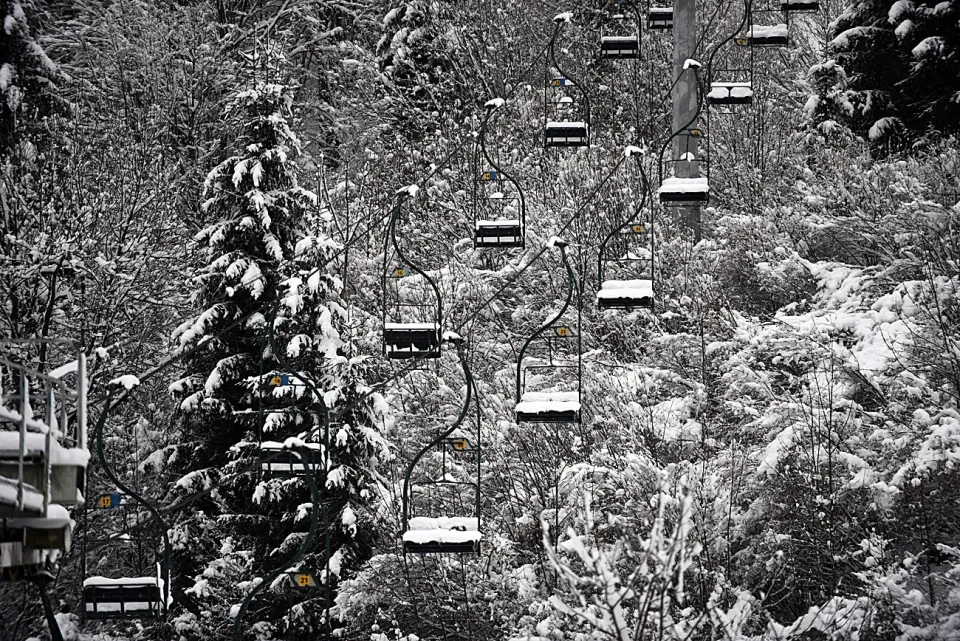 snijeg zima bjelolasica (11)