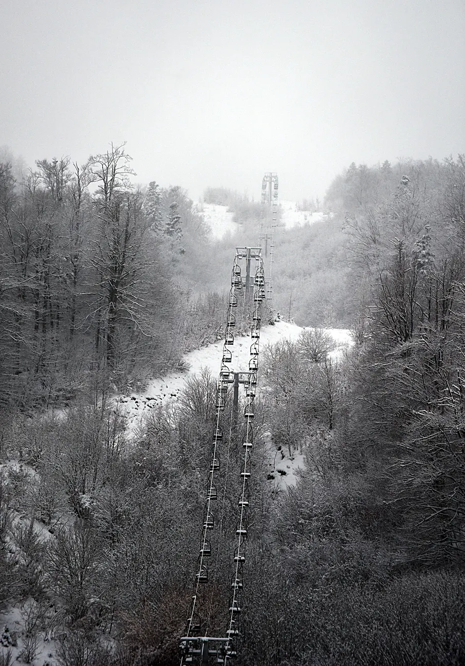 snijeg zima bjelolasica (13)