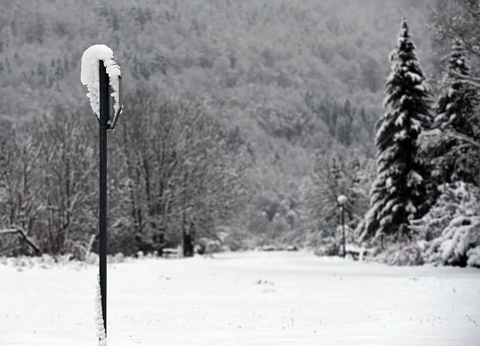 snijeg zima bjelolasica (14)