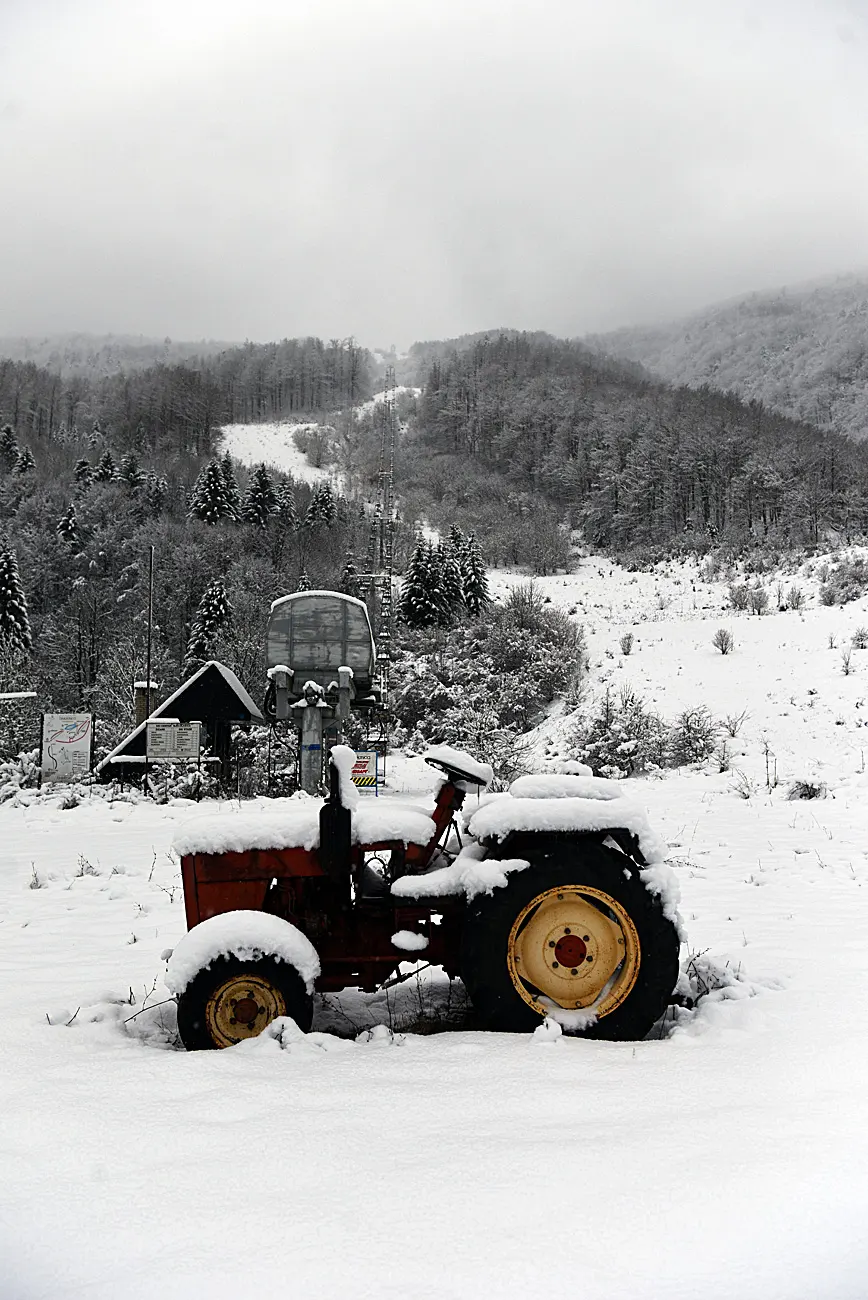 snijeg zima bjelolasica (2)