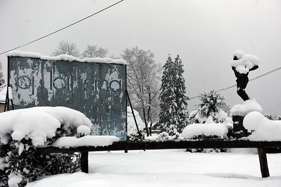 snijeg zima bjelolasica (20)