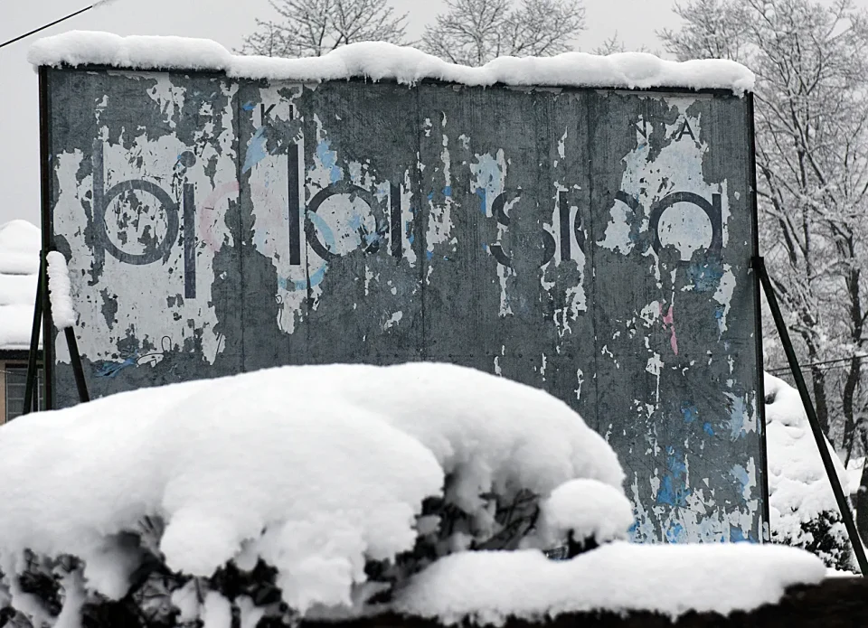 snijeg zima bjelolasica (22)