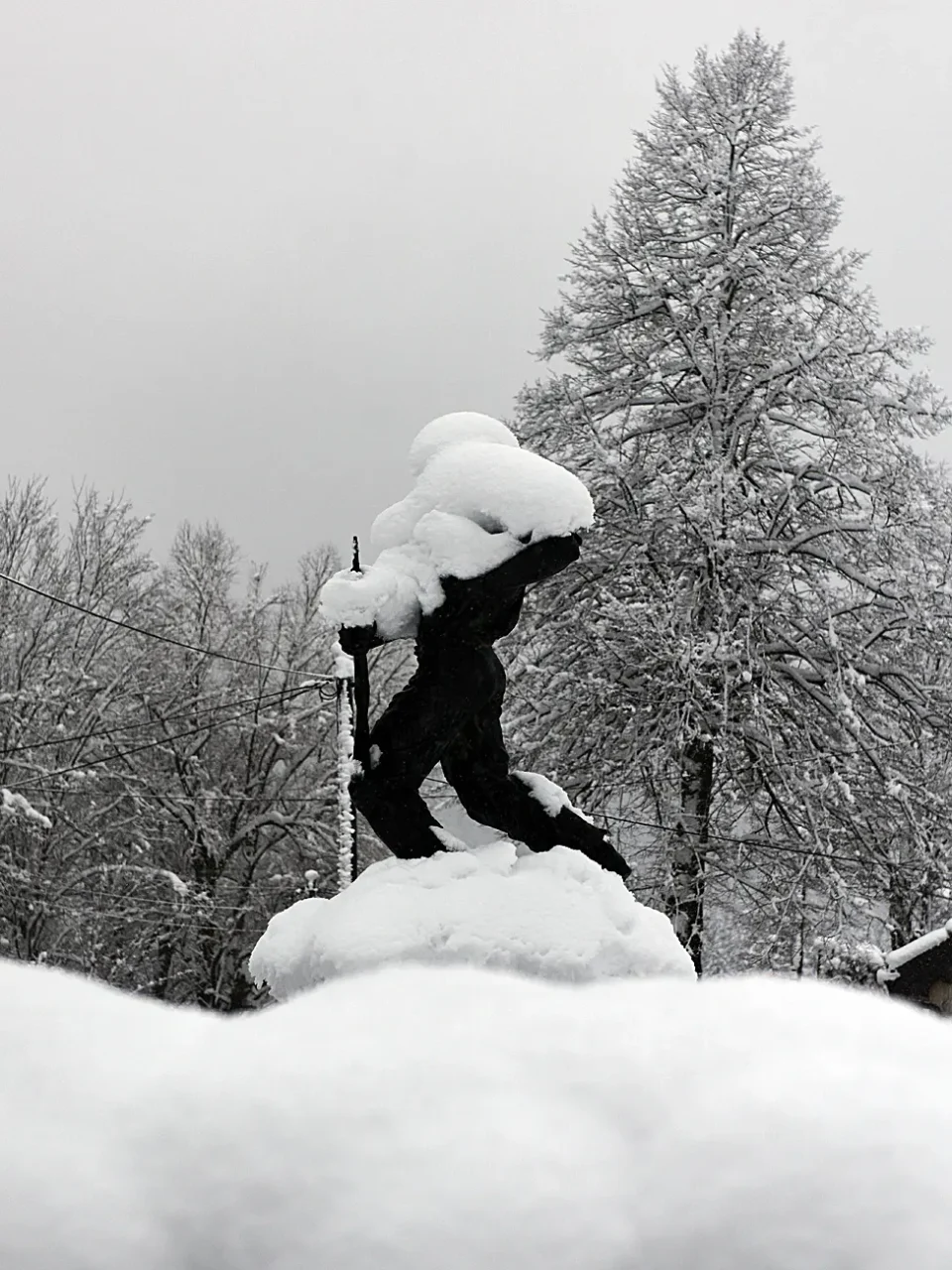 snijeg zima bjelolasica (23)