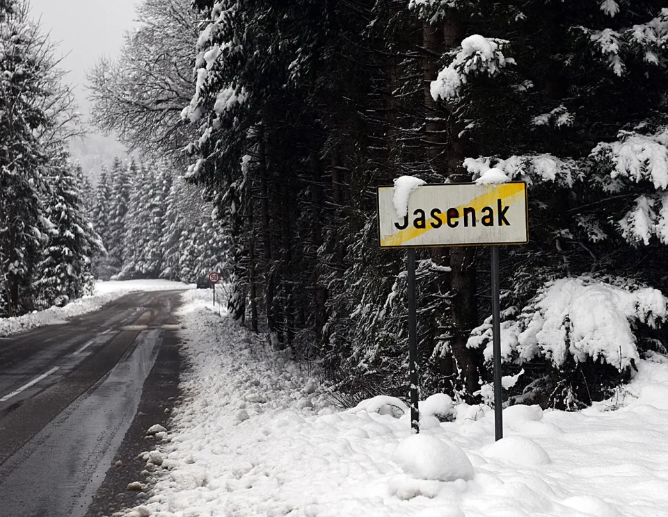 snijeg zima bjelolasica (24)