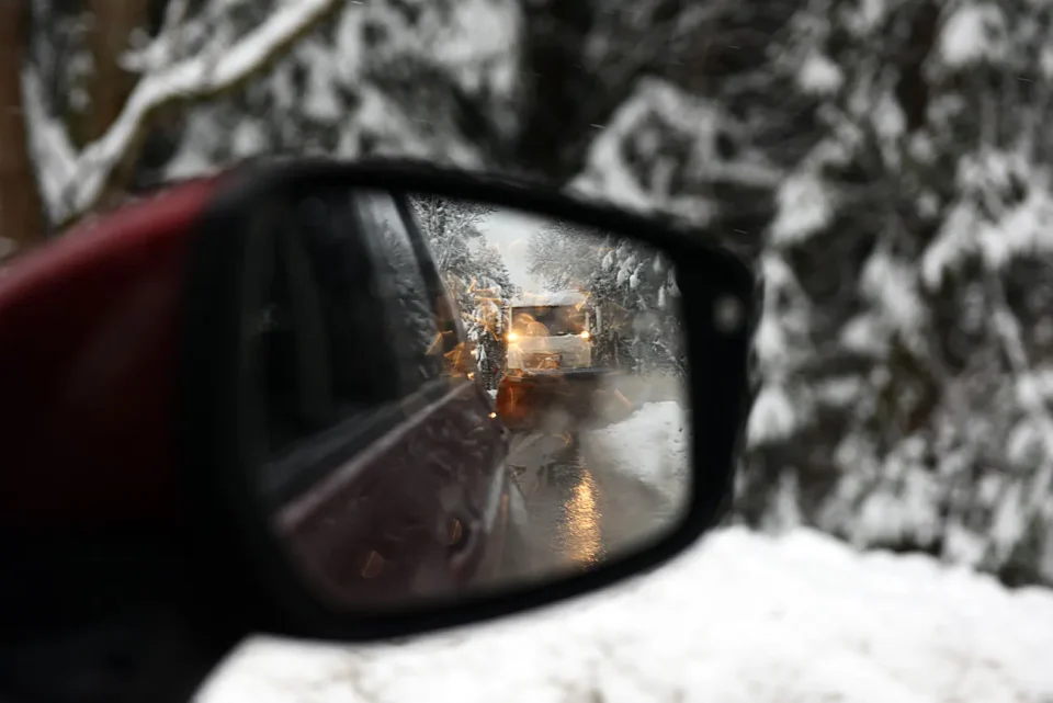 snijeg zima bjelolasica (25)