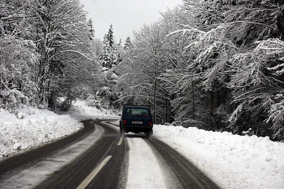 snijeg zima bjelolasica (26)