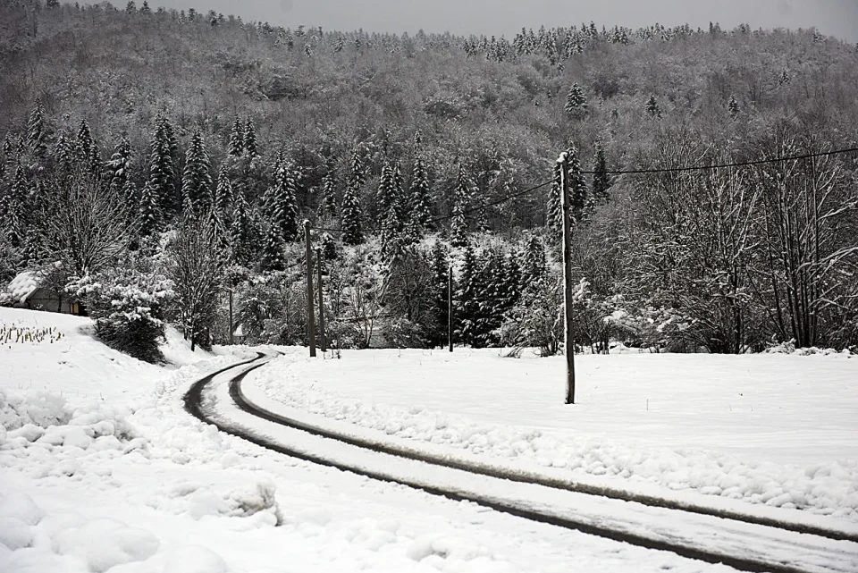 snijeg zima bjelolasica (4)