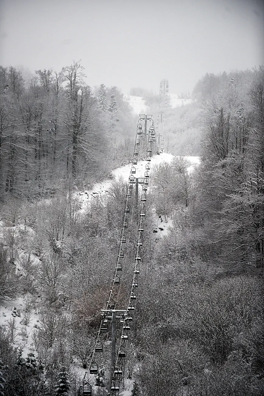 snijeg zima bjelolasica (6)