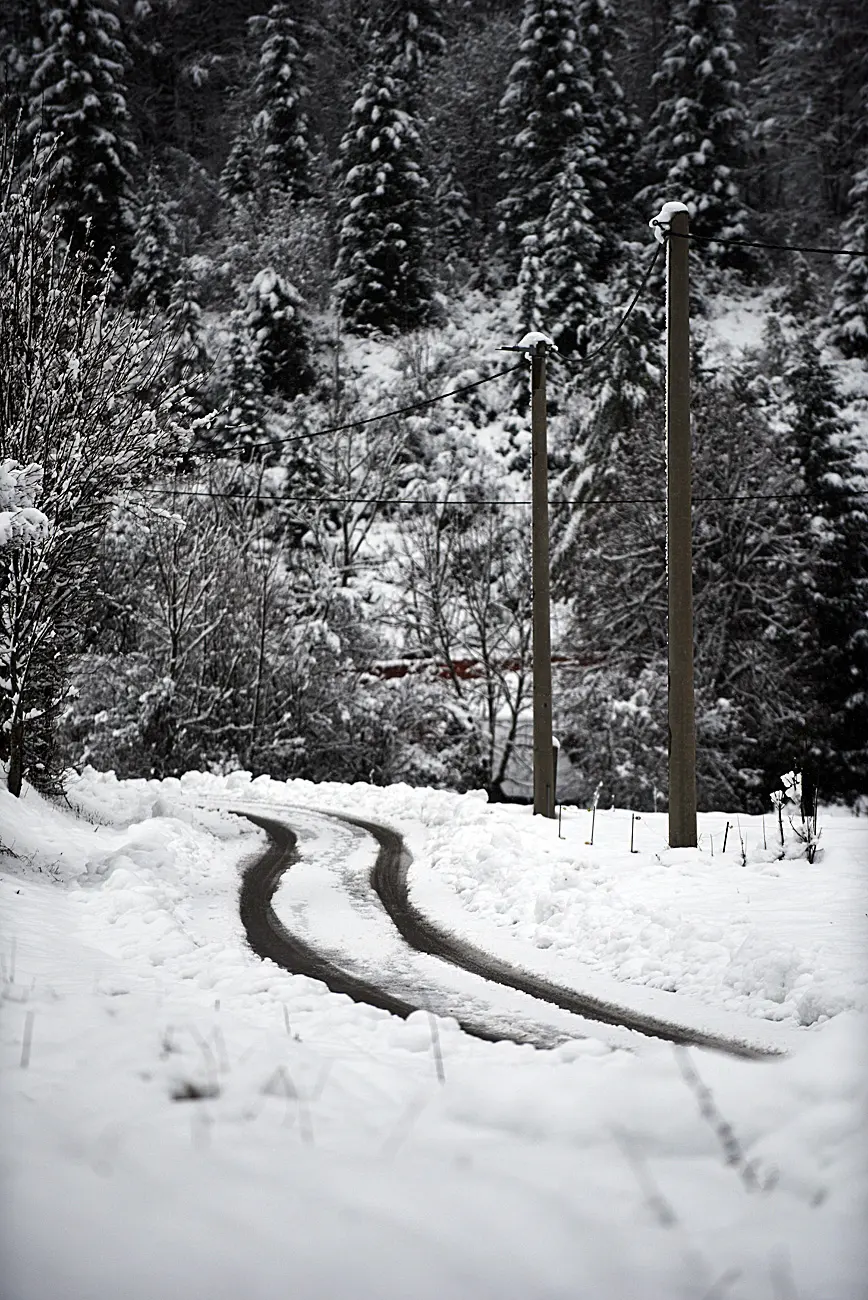 snijeg zima bjelolasica (7)