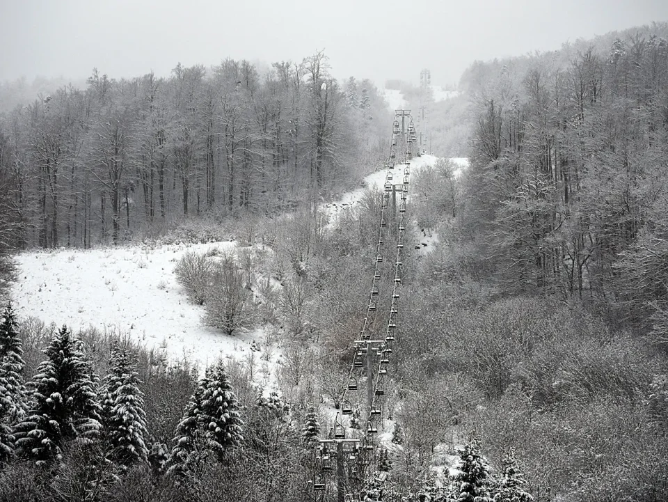 snijeg zima bjelolasica (8)