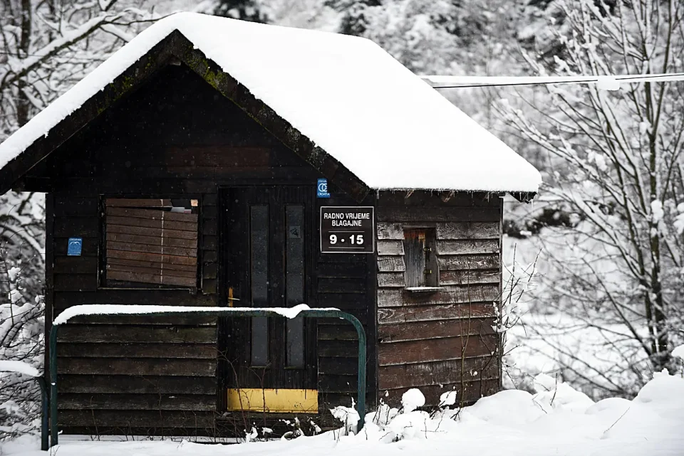 snijeg zima bjelolasica (9)