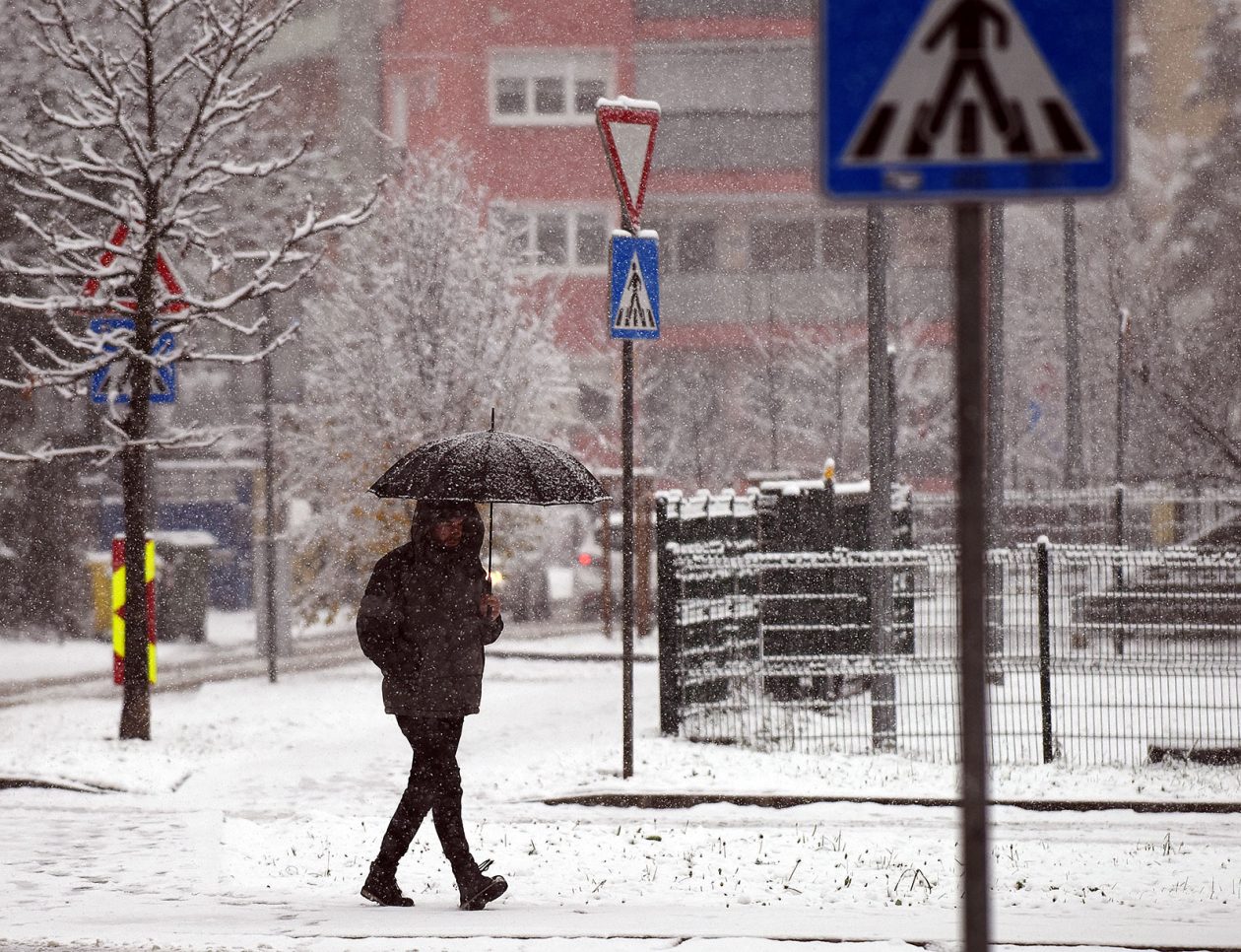 snijeg zima hladnoca (1)