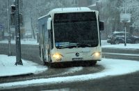 snijeg zima hladnoca (15)