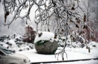 snijeg zima hladnoca (31)