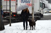 snijeg zima hladnoca (5)