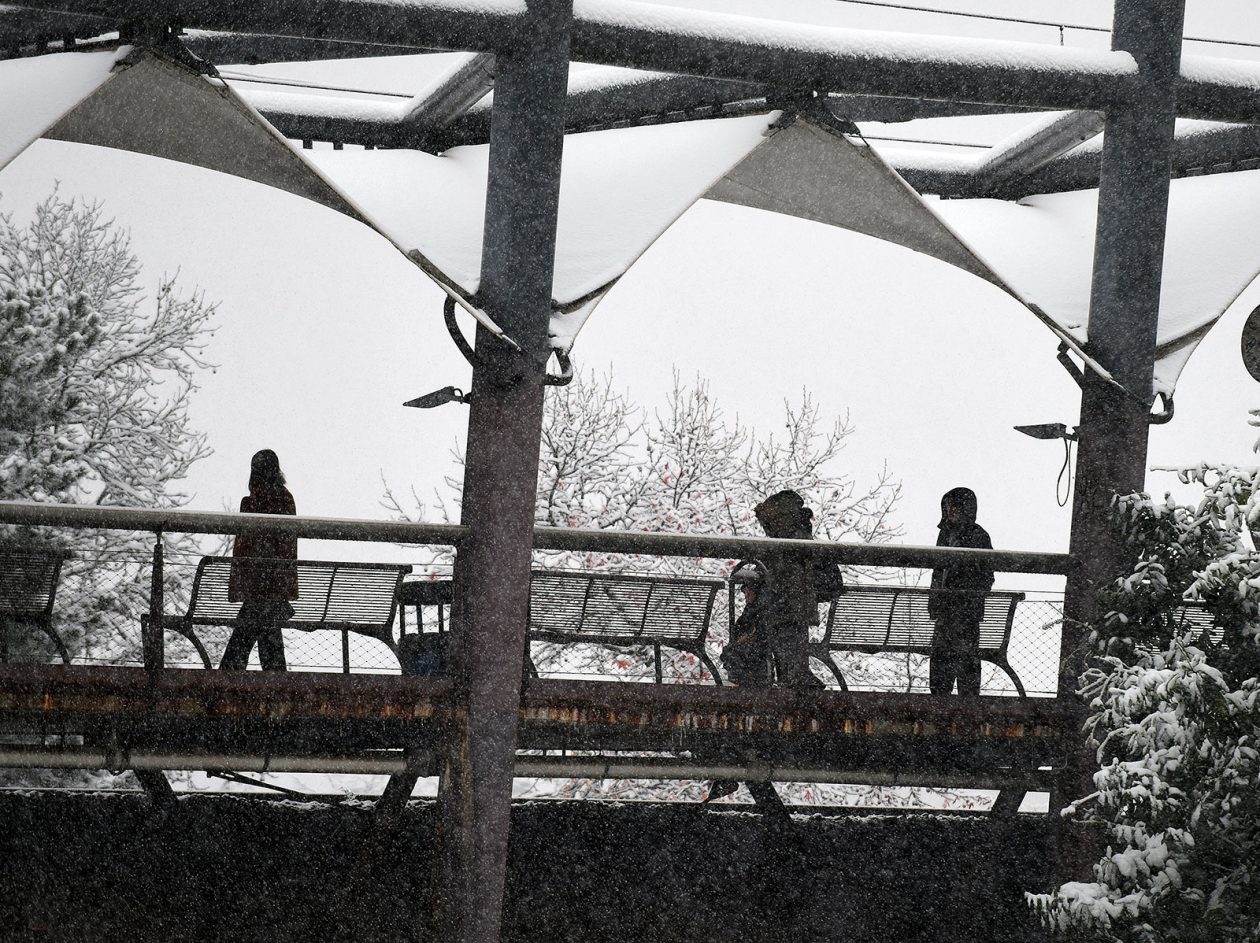 snijeg zima hladnoca (9)