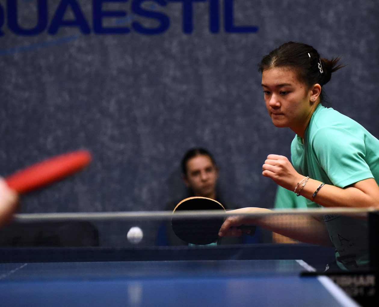 stolni tenis leeloo han vukelja (6)