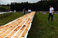 strudlafest strudle (1)