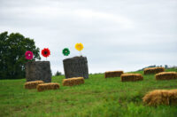 strudlafest strudle (27)