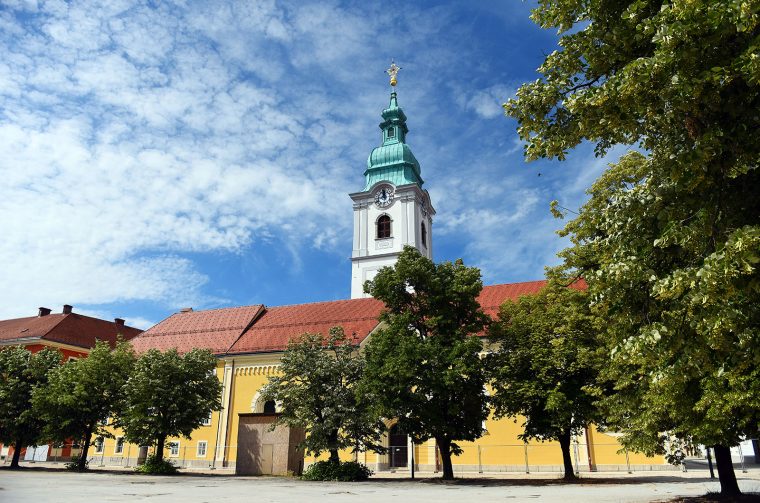 trg obnova (13)