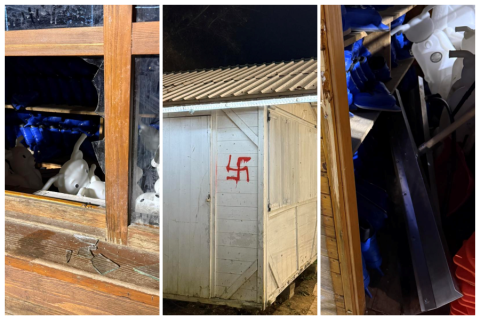 tz vandali tz vandali