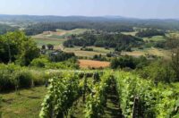 udruga vinara duga resa (5)
