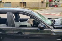 viber_slika_2025-05-17_19-02-37-727 viber_slika_2025-05-17_19-02-37-727