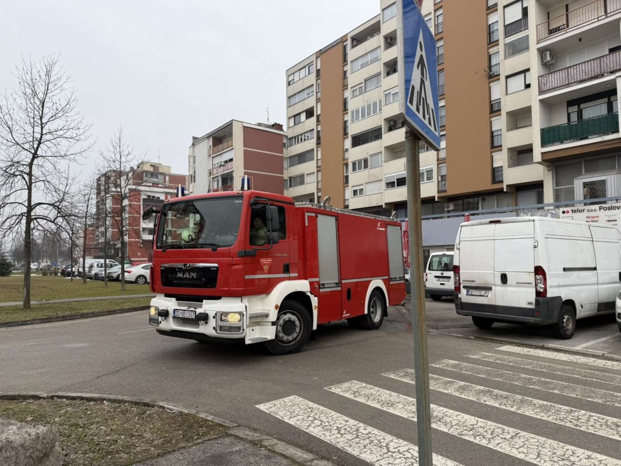 viber_slika_2026-01-23_08-26-04-613