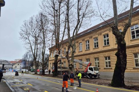 viber_slika_2026-01-27_11-38-32-862 viber_slika_2026-01-27_11-38-32-862