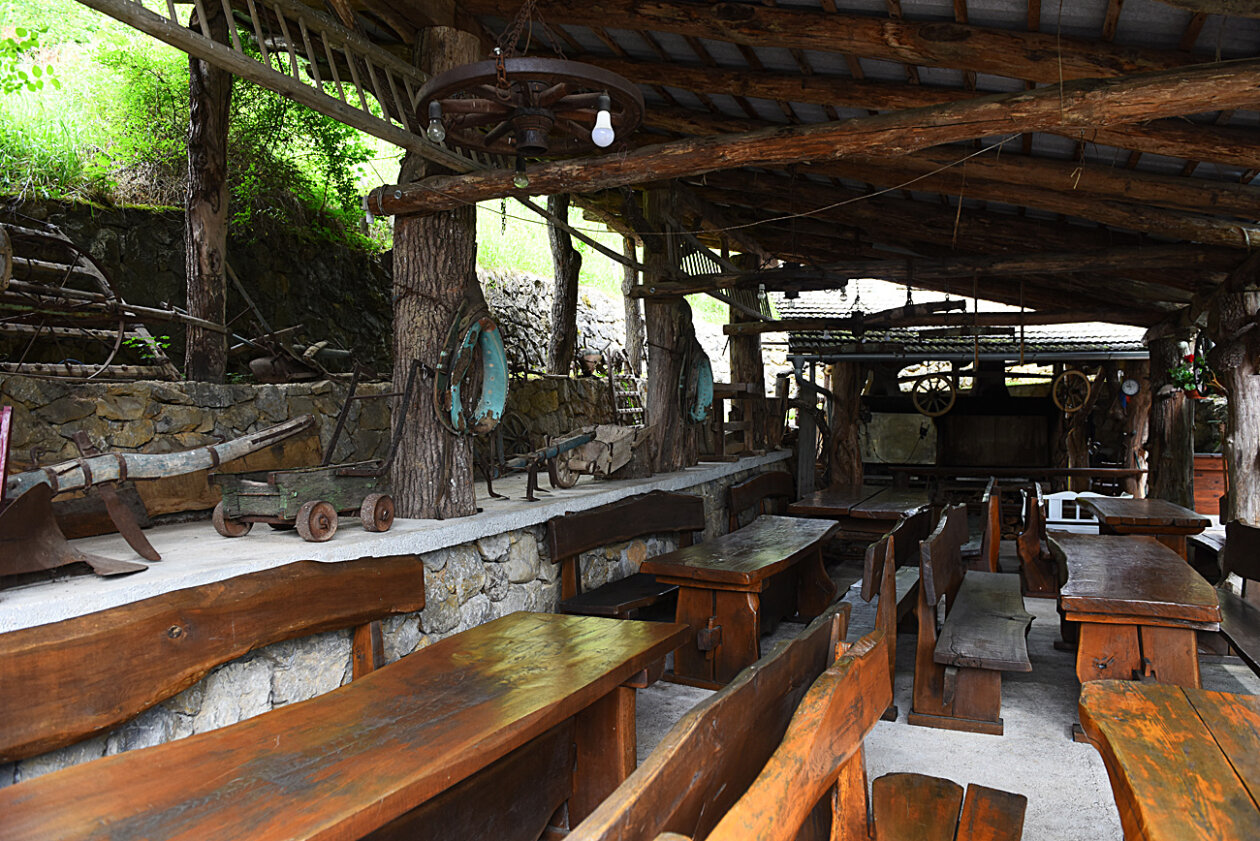 viki grill vardijan (23)