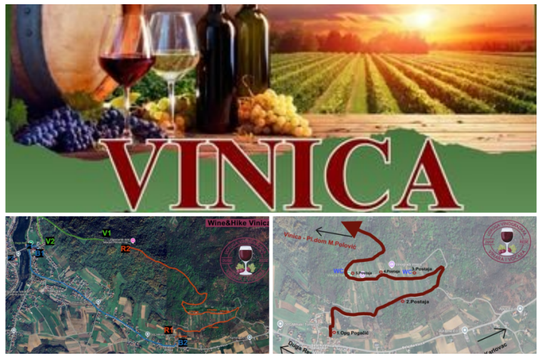 vinica vinari