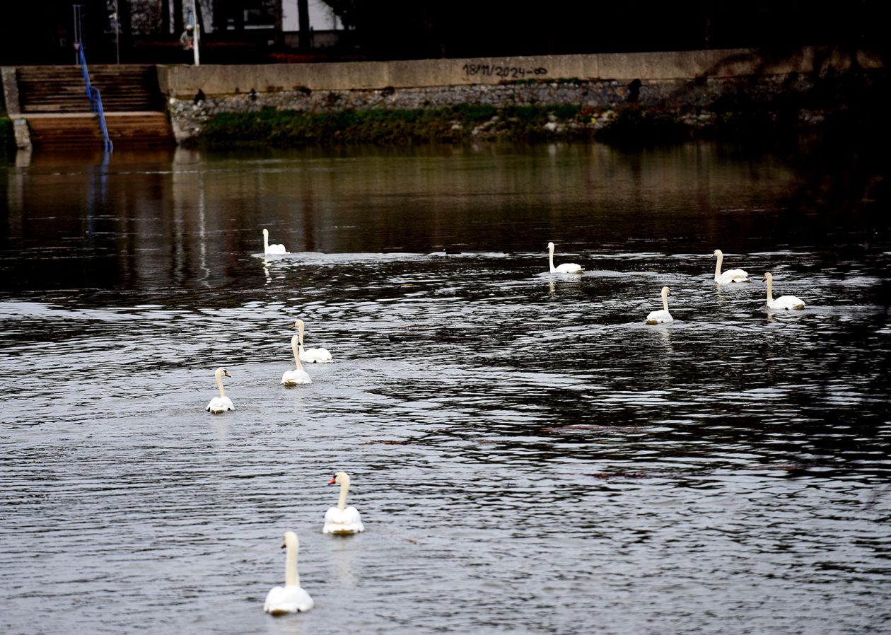 vodostaj korana (11)