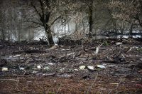 vodostaj korana (16)