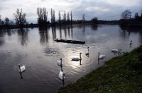 vodostaj korana (22)