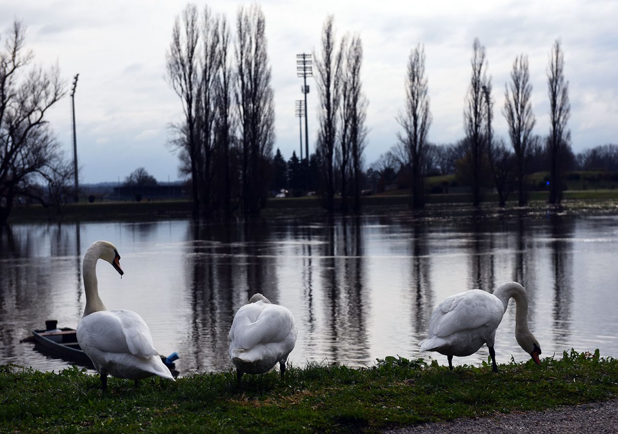 vodostaj korana (24)