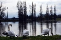 vodostaj korana (24)