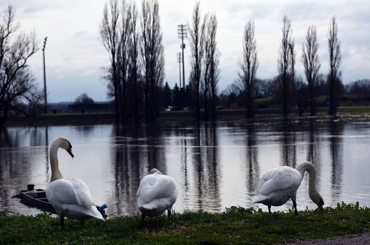 vodostaj korana (24)