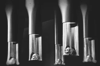 vuc_lub 1240×800 (foto Miodrag Vasilj) vuc_lub 1240×800 (foto Miodrag Vasilj)