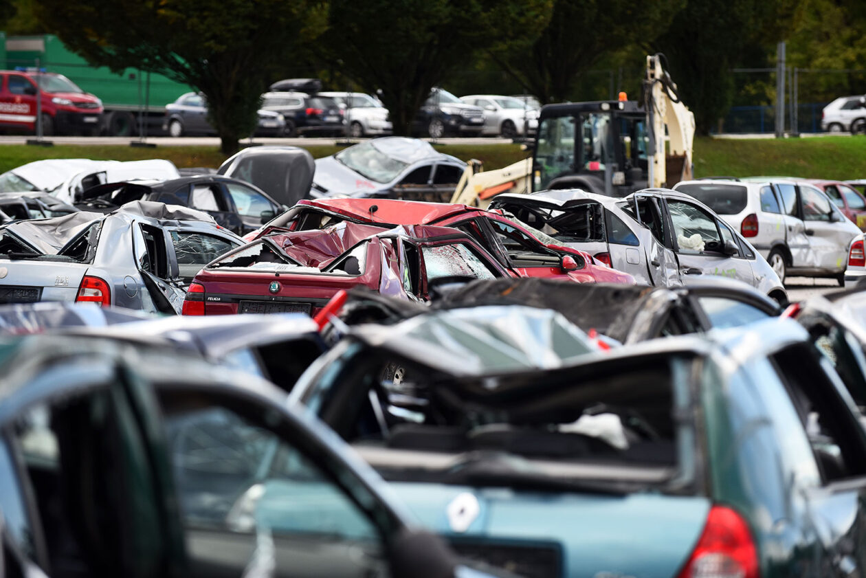 world rescue challenge (29) world rescue challenge (29)