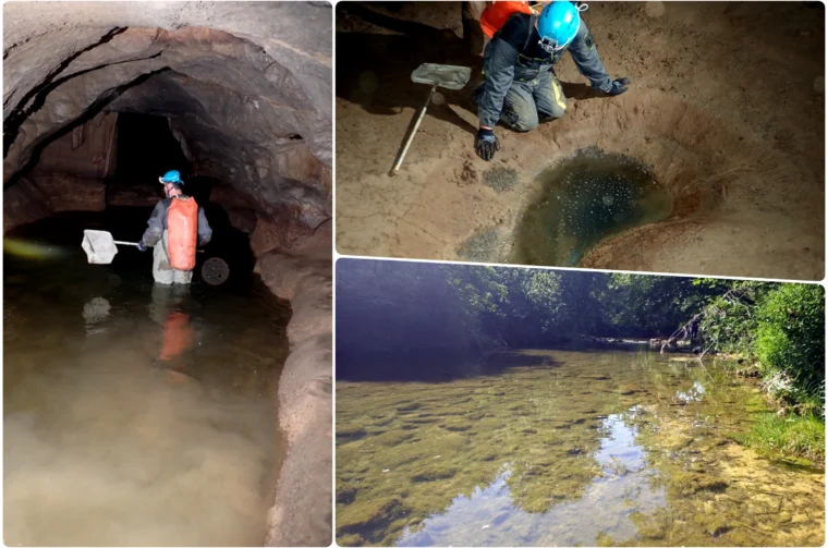 zagadenje korana spilja