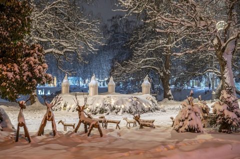 zima snijeg (10) zima snijeg (10)