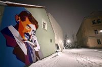 zima snijeg (24) zima snijeg (24)