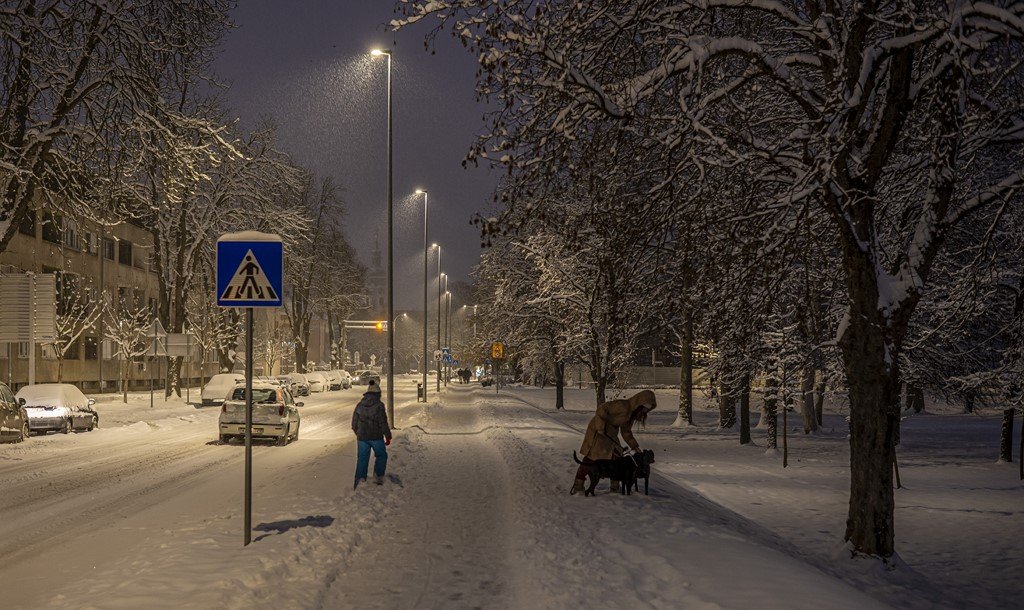 zima snijeg (3) zima snijeg (3)