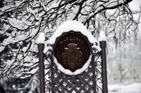 zima snijeg hladnoca (42)