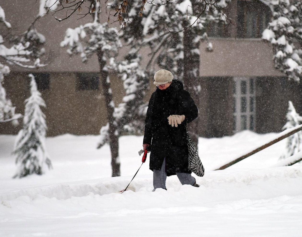 zima snijeg hladnoca (58)