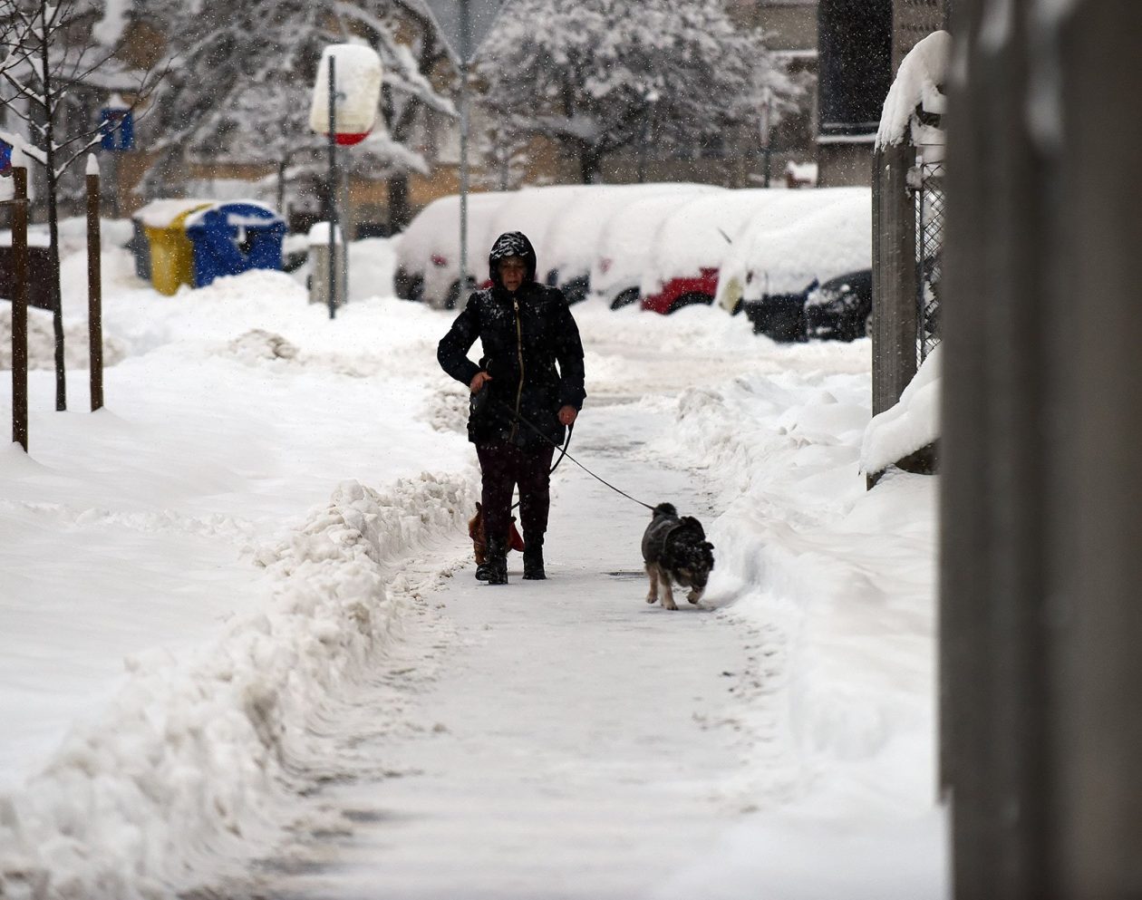 zima snijeg hladnoca (6)