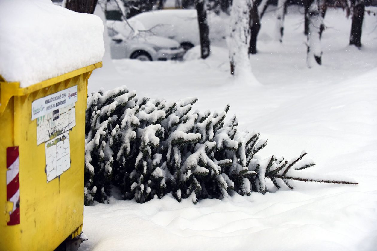 zima snijeg hladnoca (64)