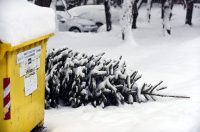 zima snijeg hladnoca (64)