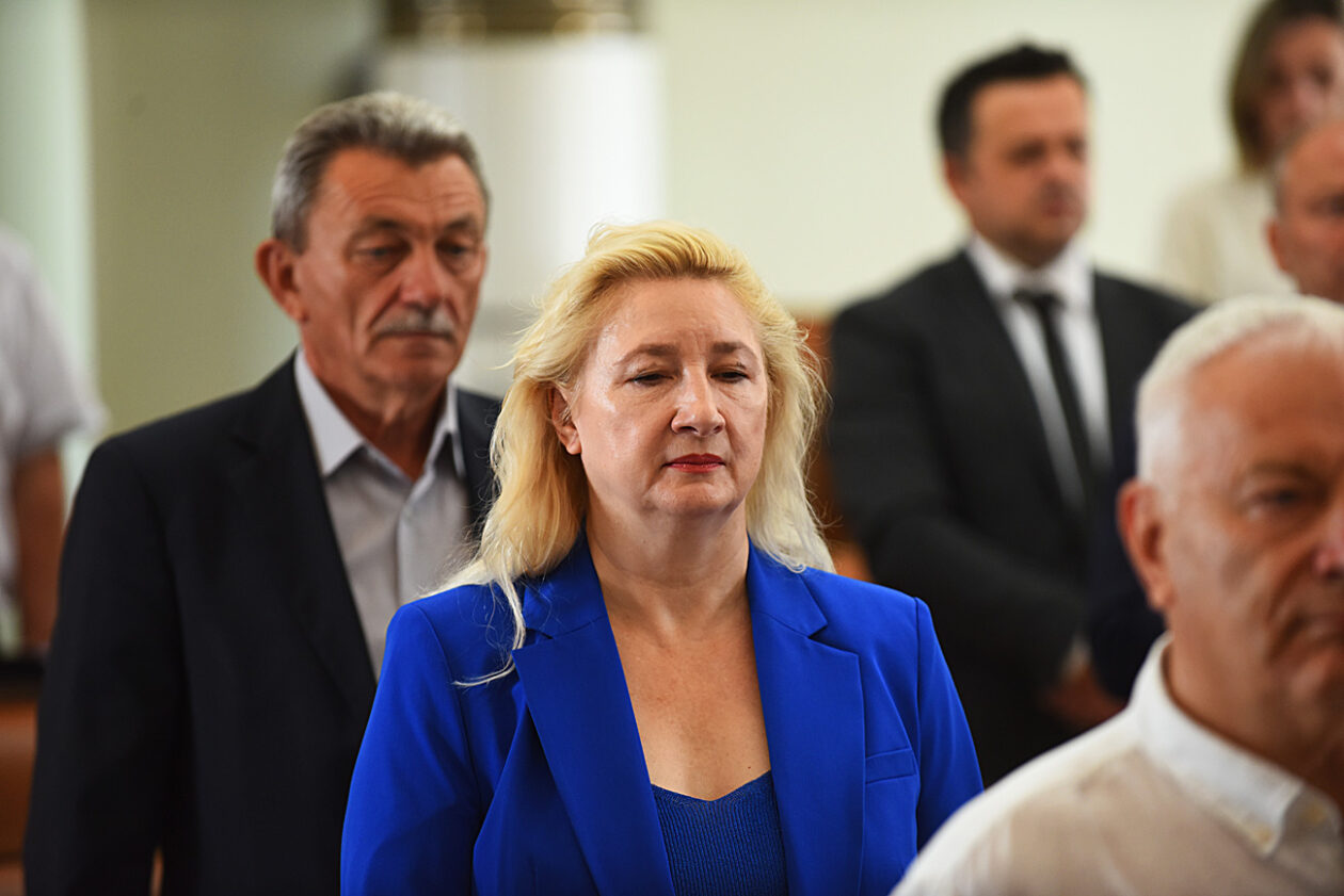 zupanijska skupstina (17)